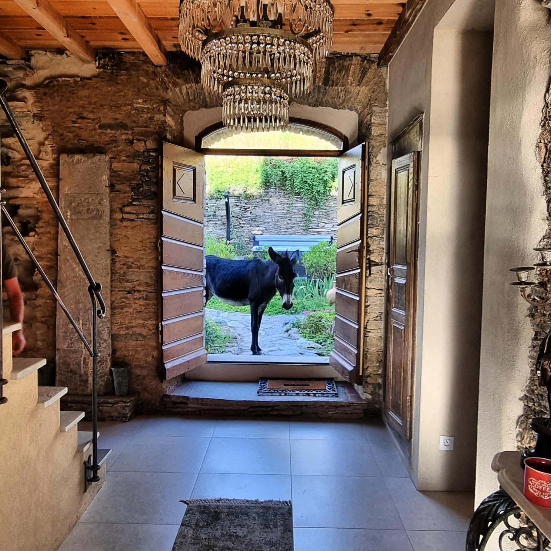 Domaine Colonna Santini ,Chambre D Hotes Piscine, Sauna, Spa Porri Eksteriør bilde
